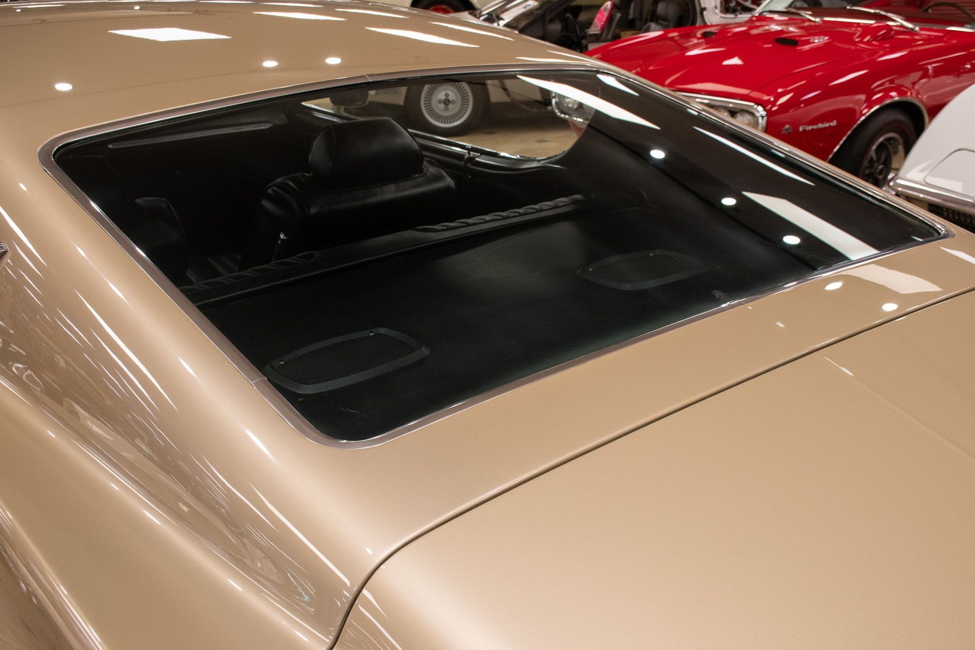 1969 Champagne Gold Poly Ford Torino